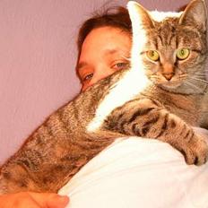 Blanding af racer perle