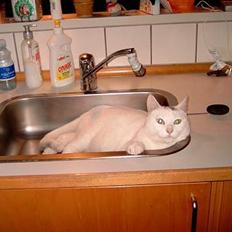 Blanding af racer minnie