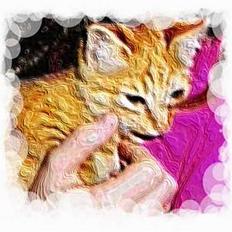 Huskat ***Findus*** † død †