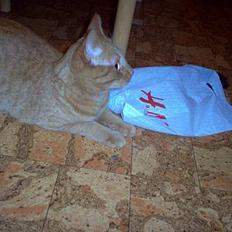 Blanding af racer Pelle