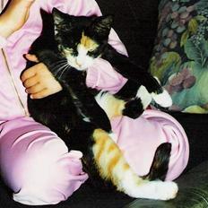 Huskat ***Yazmin*** † død †