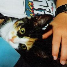 Huskat ***Yazmin*** † død †