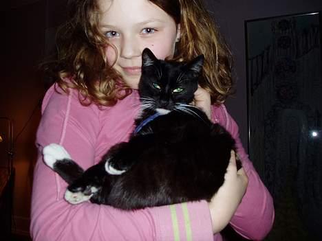 Blanding af racer Sofus billede 3