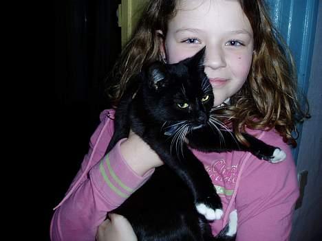 Blanding af racer Sofus billede 7