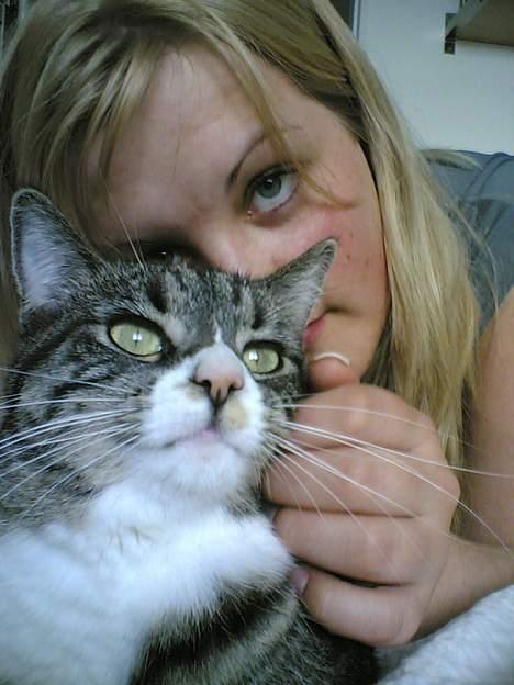 Blanding af racer . ~ * Puma * ~ . billede 15