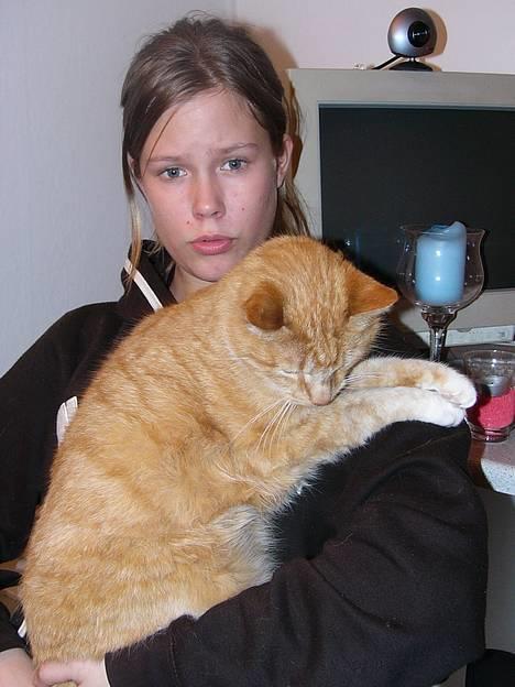 Blanding af racer Garfield +død+ billede 11