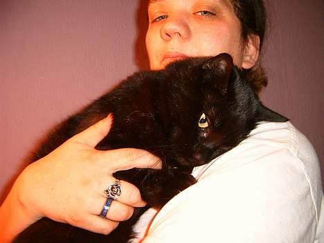 Blanding af racer bølle ( rendt væg ) :-(( - jeg er dødhammen kelen billede 3