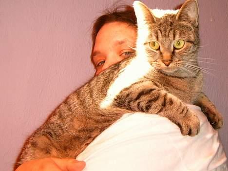 Blanding af racer perle - er jeg ikke bag dejlig billede 1