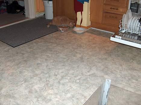 Blanding af racer Sørnsen (Død.. *SNØFT!*) - MAD! billede 9