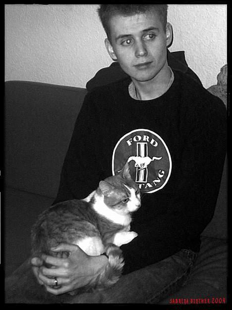 Huskat Felix R.I.P. - Love me, feed me, don´t ever leave me billede 3