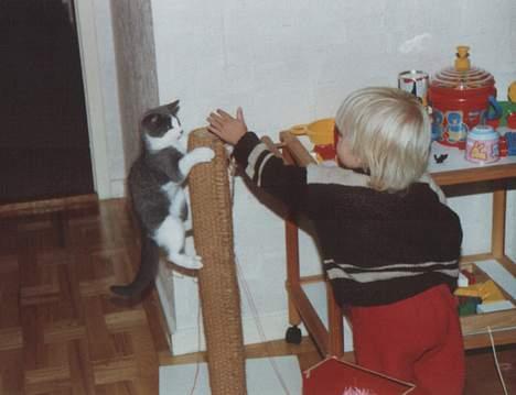 Blanding af racer Knirke - Mig og Knirke. billede 7