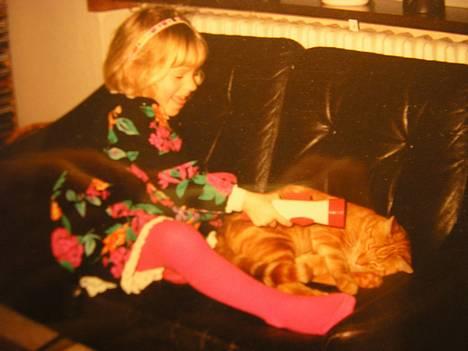 Blanding af racer Miv R.I.P 15/6.06 <3<3 - Jeg var (var?) meget ond som lille... Eller :p ...  billede 2