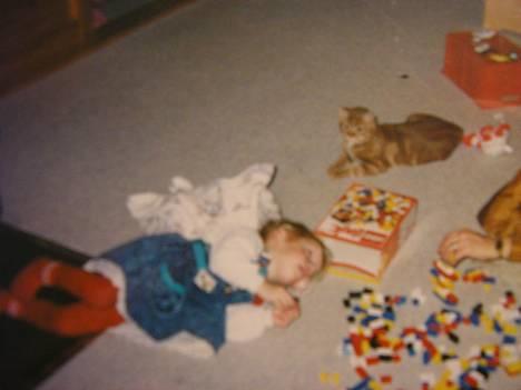 Blanding af racer Miv R.I.P 15/6.06 <3<3 billede 7