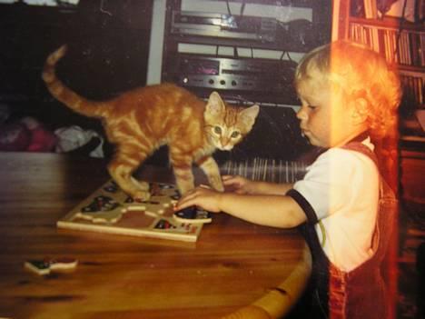 Blanding af racer Miv R.I.P 15/6.06 <3<3 - Miv hjælper mig med puzzle spillet.. :p  billede 8