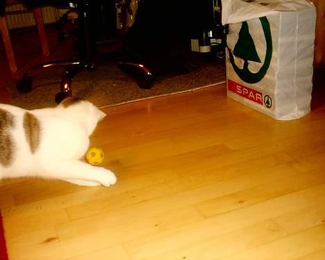 Huskat pjevs - nu tager jeg dig billede 18