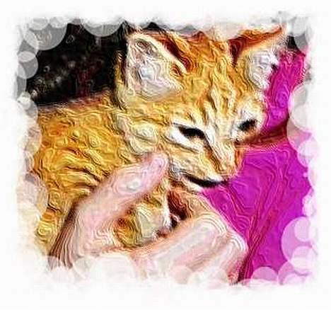 Huskat ***Findus*** † død † - Smukt maleri som Jasmin har lavet til den lille dreng..!! billede 3