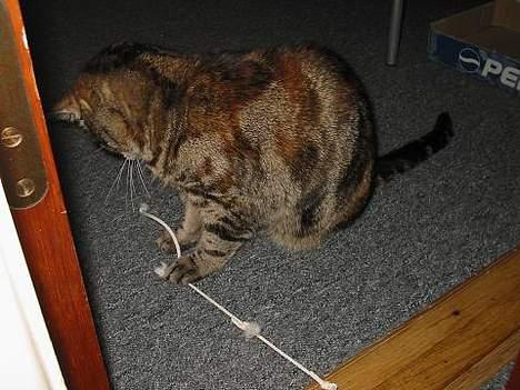 Huskat Disney - her leger jeg.... billede 8