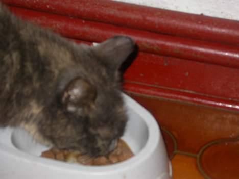 Huskat Ramphoshus - Uhhhhhhm! Tak for mad! billede 6