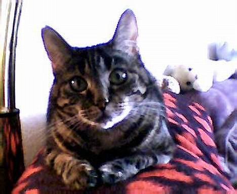 Huskat Disney - hva´ nu???? billede 12