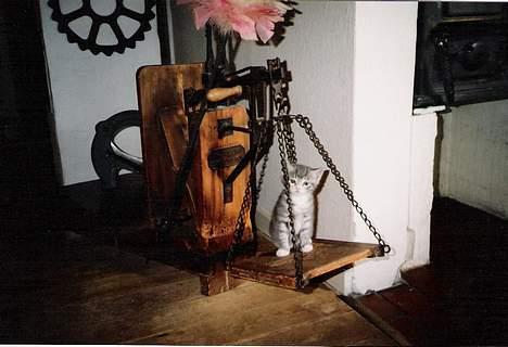 Huskat ˜”°º•Erantis•º°”˜ DØD :'( billede 14