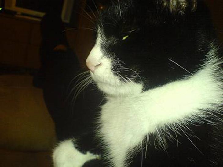 {{currentPhoto.altText}} billede {{currentPhoto.number}}