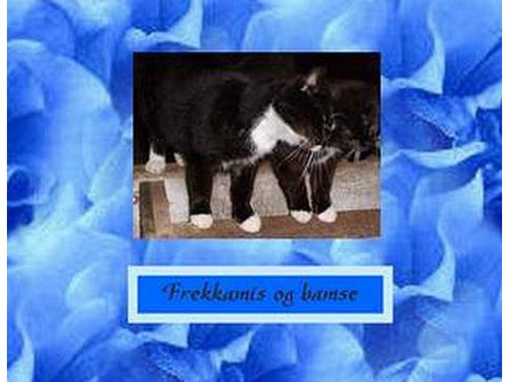 {{currentPhoto.altText}} billede {{currentPhoto.number}}