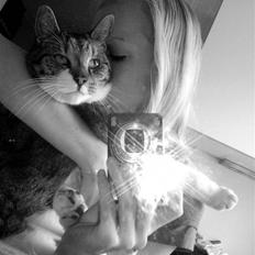 Blanding af racer Pjuske | Pjuller