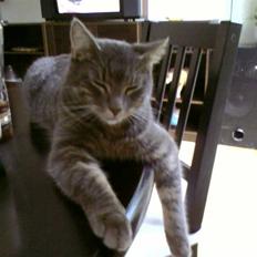 Blanding af racer Bill