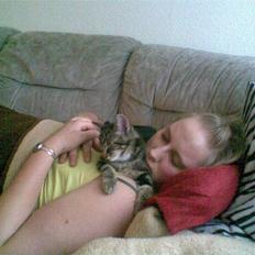 Huskat Sigurd † R.I.P. †