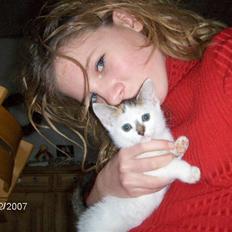 Blanding af racer Vibyvejens *Snip* "SOLGT"