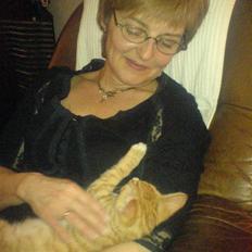 Blanding af racer Mikkel