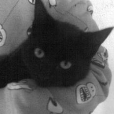 Blanding af racer Marie