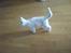 Huskat Frank Junior (SOLGT) - Frank <3