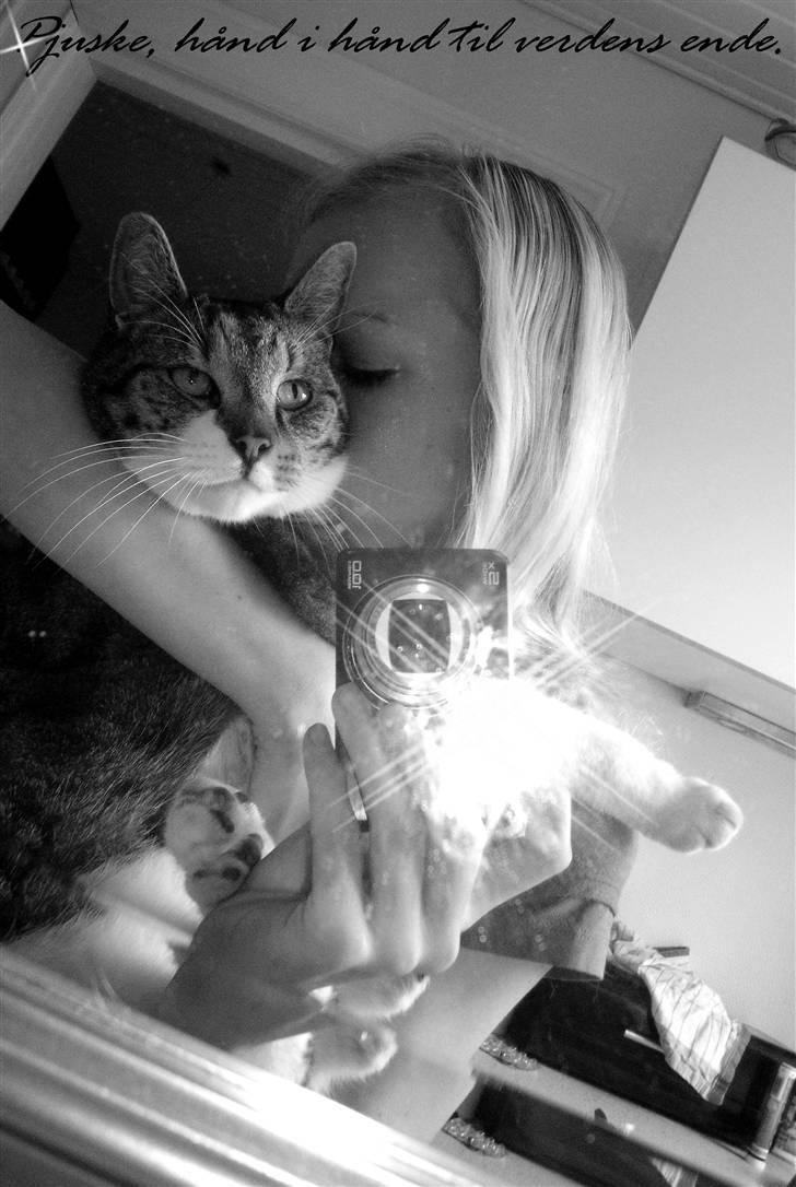 Blanding af racer Pjuske | Pjuller - 1 | Hånd i hånd til verdens ende! Foto: Mig billede 1