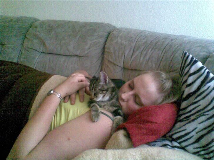 Huskat Sigurd † R.I.P. † billede 2