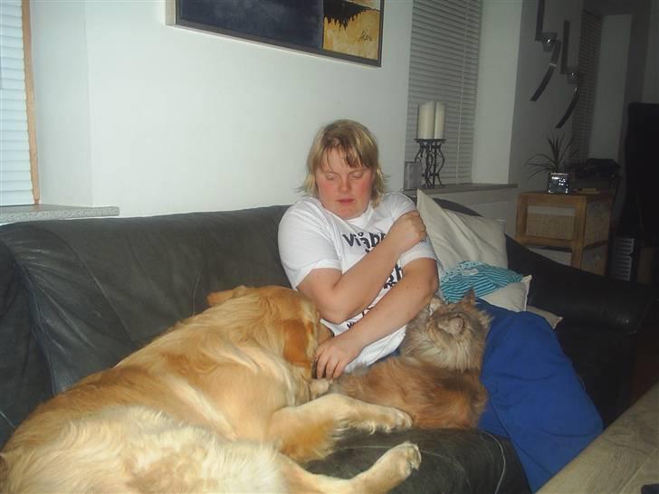 Maine Coon Silke - Mor... Bamse og mig hygger os... Skønt billede 14