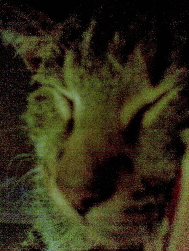 Huskat gangster billede 9