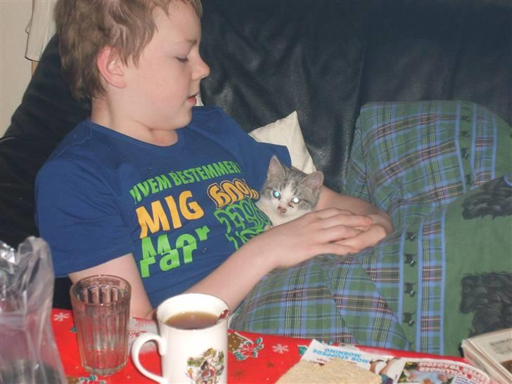 Huskat Nixon - her ligger jeg godt og trygt billede 8