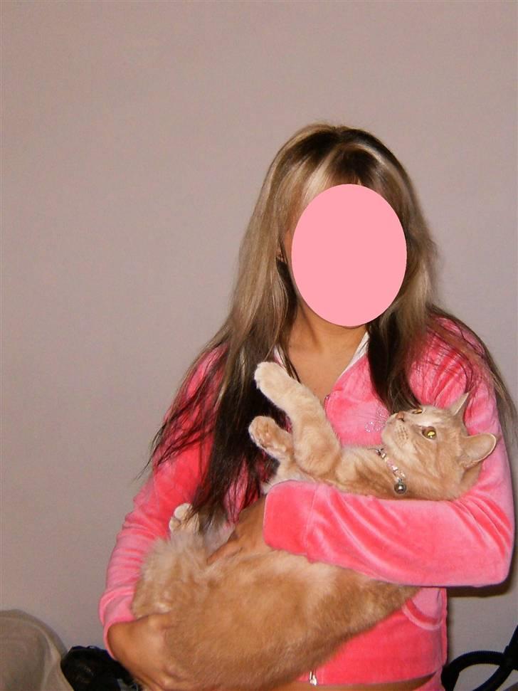 Huskat culo billede 3