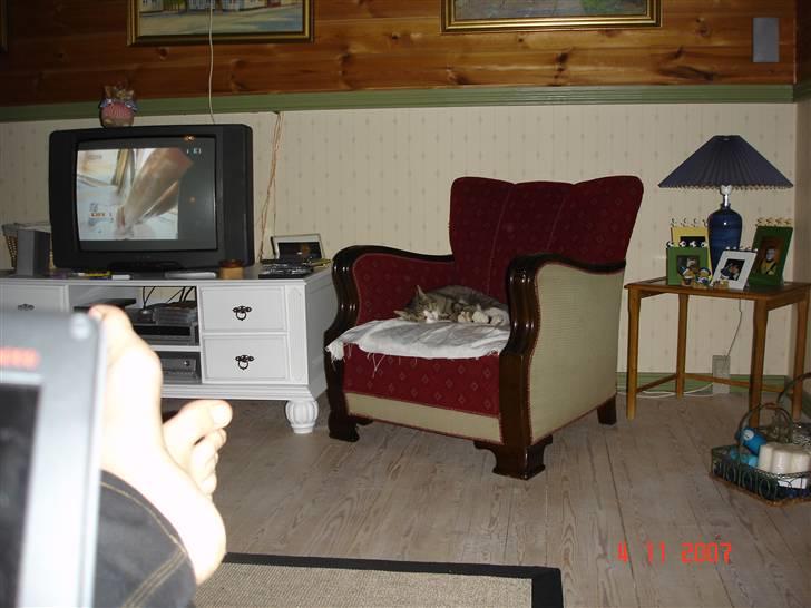 Huskat Trunte billede 15