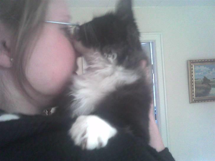 Blanding af racer Børge † død † :'( - min søster Julie og børge billede 14