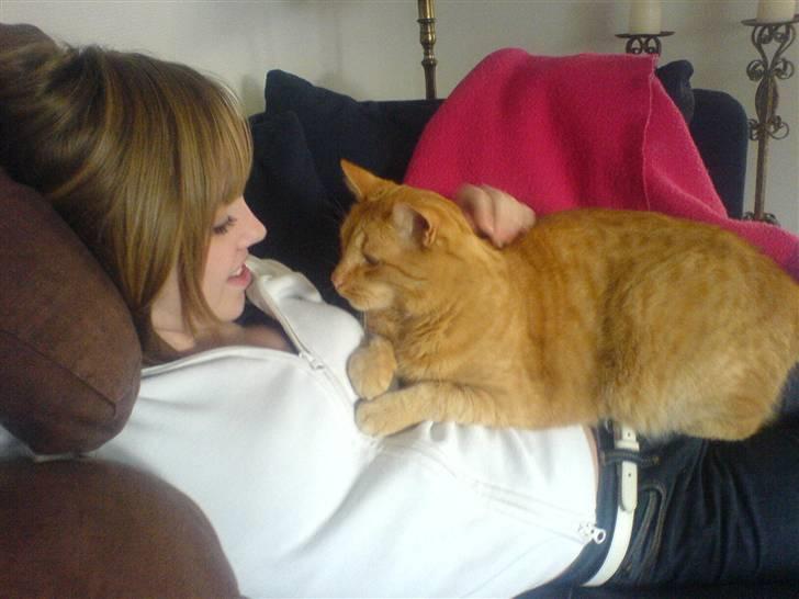 Huskat Taro billede 4