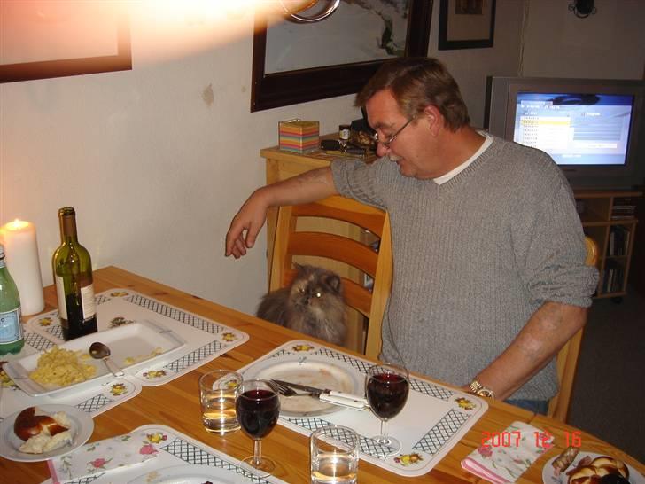 Perser Victoria-Hope Golden Stat - Og hvor er mit glas? billede 4