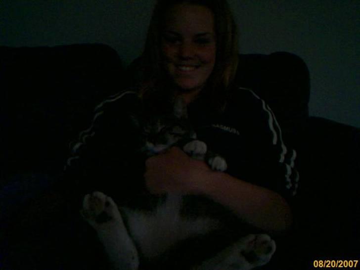 Huskat Lui - Jeg er ikke tyk! :) billede 3