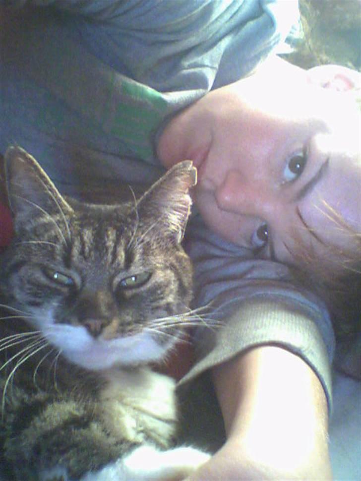 Huskat Mille - Look at me! billede 6