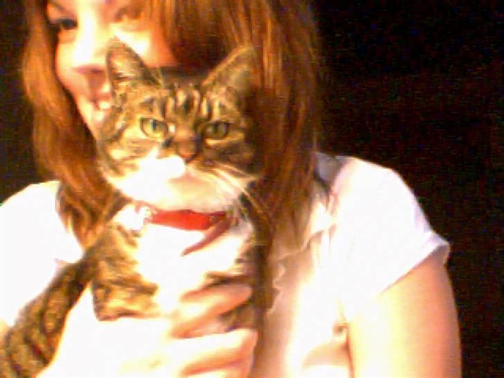 Huskat Mille - Protrat igen nu! billede 10