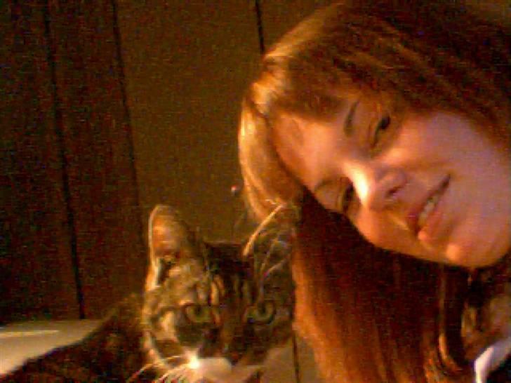 Huskat Mille - Er det her jeg skal kigge? billede 12