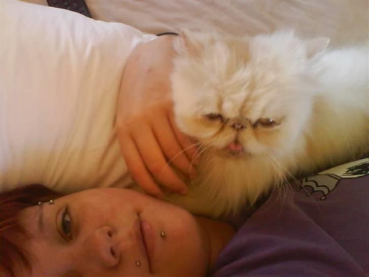 Perser Stromboli*himmelmis* - jah vi putter altså lige ;) billede 10