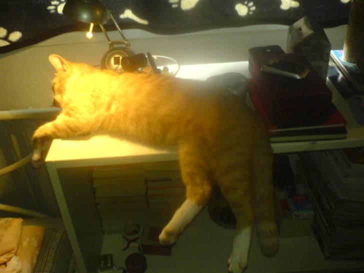 Blanding af racer Sara - Min røv er lækker :P Og det er dejligt med noget lys (: billede 6