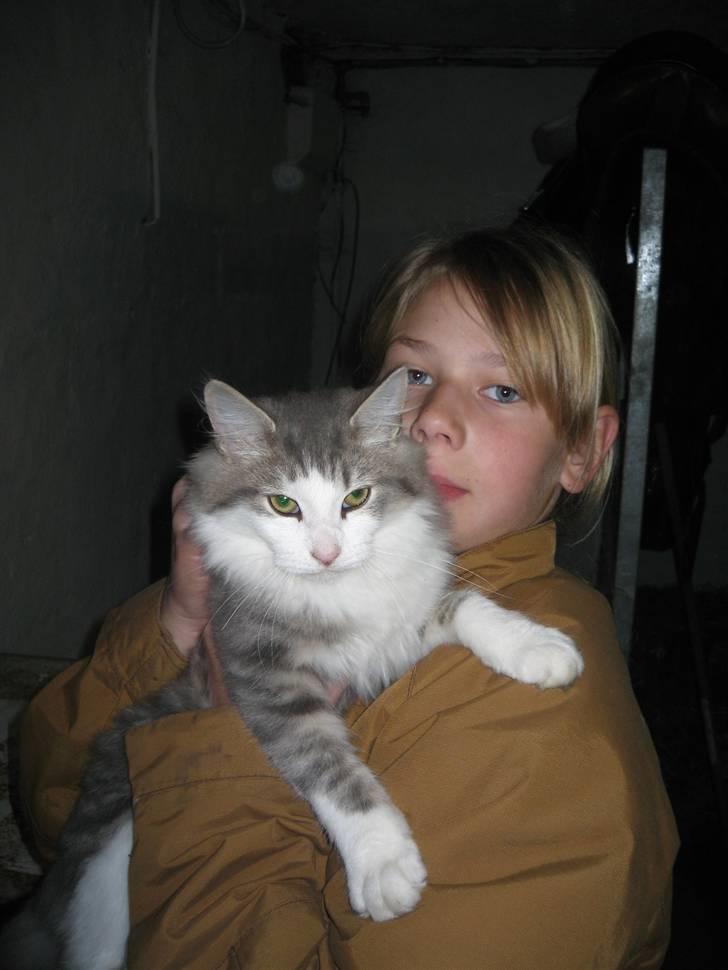 Norsk Skovkat Simba(misted):( - Mig og smukke basse.Billede 9. billede 9